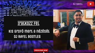 Kis Grofó Mert a nézését (Dj Rayel Bootleg)