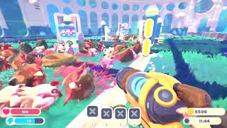 playing slime rancher 2!