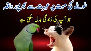 Tote Ki Maut | Tote Ki Kahani Hindi In Urdu Mein | Parrot Story In Hindi Urdu |#aminvoice