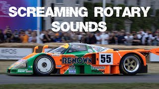 Mazda 787B SCREAMING ROTARY SOUND & FLAMES!