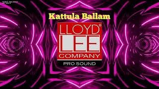 Kattula Ballam - High Gain 💥 | Soundcheck 🔝 | Chetapatti | Lloyd lee | #trending | Video Junction 1