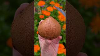 Chestnut shaped cake with a satisfying cut 🔪 #satisfying #satisfyingvideo #cuttingskills #shorts