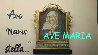 Stella Maris (Ave Maria Zeneize)