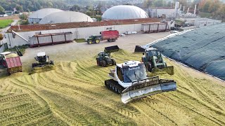 Mais schieben 2021mit Claas Xerion 4000 und Pisten Raupe | Maishäckseln 2021