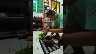 Tumbok Daun Ubi Dayak Style