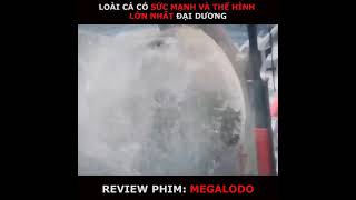 loài cá có sức mạnh và thể hình lớn nhất đại dương - Phim : MEGALODO