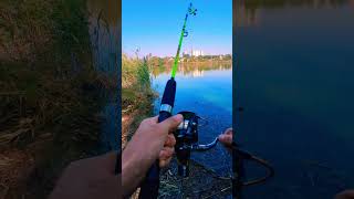 Рыбалка в октябре 🎣 #наприроде #рыбалка #fishing #рыбалкавидео