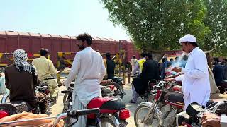 Long Train Passing Through Railway Crossing in Action