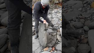 We FOUND So Many Nodules In This HUGE Slab! 🤯😱🐊🔨