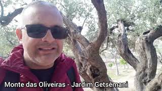 Viagem para Israel Episódio 12: Monte das Oliveiras l Jardim Getsêmani. #inscreva_se #ativeosininho