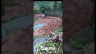 Kerala Rain Updates 2023 | Alakode, Kannur