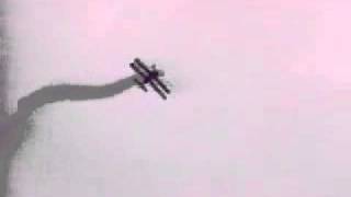 Stunt Plane Crashes at Air Show