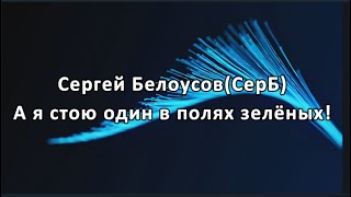 Стих  "А я стою один в полях зелёных!"⁠⁠ ,   Автор Сергей Белоусов (СерБ)