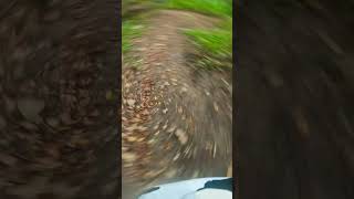 Mtb Dh падение отказали  тормаза