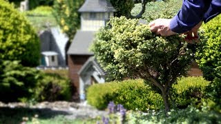 Miniature Landscaping at Legoland