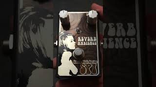 A Totally Normal Reverb Pedal