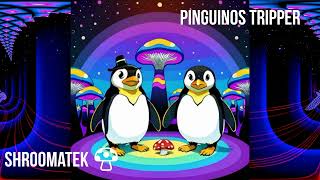 ShrooMaTek 🍄 - Pinguinos tripper