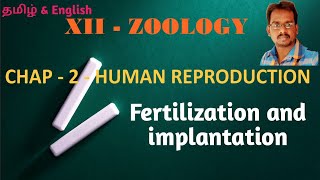 Fertilization and Implantation