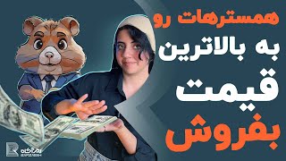 قیمت همستر چقدر میشه؟ با همستر چقدر سود می‌کنیم؟ همسترات رو به بالاترین قیمت بفروش