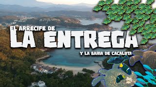 Playa la  Entrega y Cacaluta BAHIAS DE HUATULCO