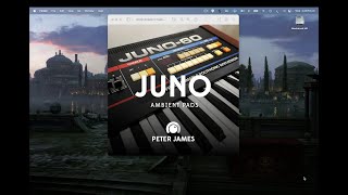 JUNO Ambient Pads Walkthrough