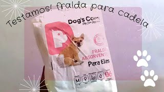 Resenha Review FRALDA absorvente de CACHORRO para fêmeas