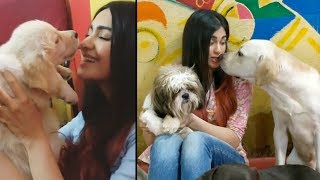 Adah Sharma Playing With Street Dogs | Cute Video