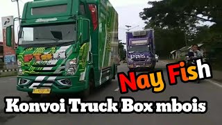 Truck Box Nayfish Konvoi Dua Unit Mbois full