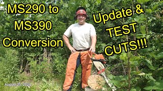 Stihl MS290 to MS390 test cuts and update #stihl #stihlchainsaw #stihlusa