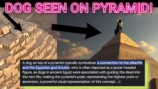 🤯 DOG Climbs the GREAT Pyramid IN EGYPT! - MESSAGE From the GODS!