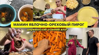 Пирог от мамы с яблоками и орехами🤤 Осенний деревенский влог 2023 / Неожиданные гости