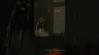 Not a Fear in the World #dogmeat #fallout #gaming #shorts