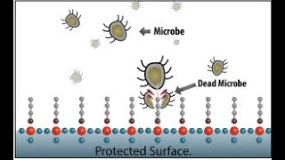 Ultrathin antimicrobial surfaces