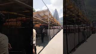 tiruvannamalai Annamayya Temple #tamil #live #thiruvannamalai #அண்ணாமலையார்