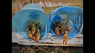 ЛОВЛЯ КРУПНЫХ РАКОВ на примитивную снасть