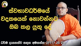 Kirawagama Dhammasiri Thero l Swetha Pooja l  2.00Pm Bana