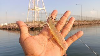 Pesca con camarón vivo en unos astilleros