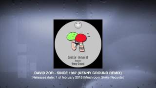 David Zor - Since 1987 (Kenny Ground Remix) [Mushroom Smile]