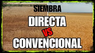 Siembra DIRECTA VS CONVENCIONAL con SEQUÍA ( en secano )