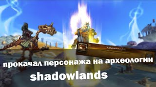 Прокачал персонажа до 60 на археологии | Археология World of Warcraft Shadowlands