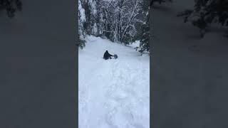 Sledding 9