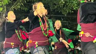 Kaura Dance // Bhailo Dance 2081