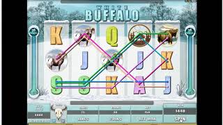 WHITE BUFFALO Super Big Win Demo Play Online Slot Machine Live Play Free Spins