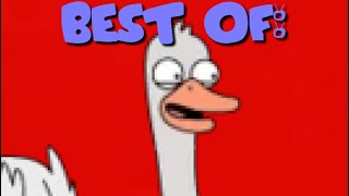 best of: Eddie the Ostrich