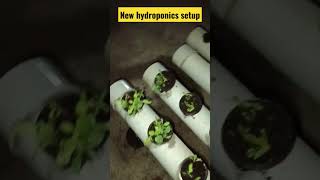 DIY Hydroponics setup, homemade at very low cost dft kratky nft setup