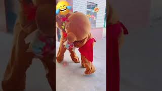 Funny Video l Funny Bear 🐻😂 P1674 #Shorts