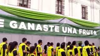 Entrega Fruta Maratón de Santiago 2013!!!