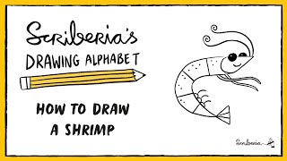 How to Draw a Shrimp