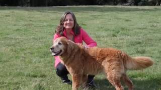 Jennifer & Reggie: The Dog's Job ~ Team Work