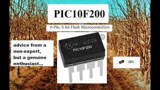 The PIC10F200 Series: Part 017: 74HC595 Shift Register, Continued